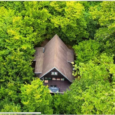 Boshuis Forest Kemping