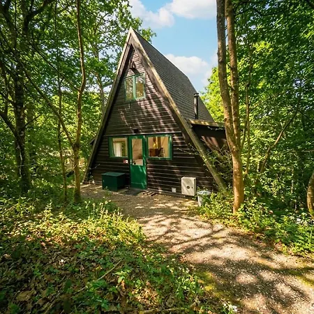 Boshuis Forest